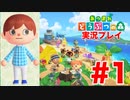 【実況】あつまれ どうぶつの森で無人島生活できるもん 1日目