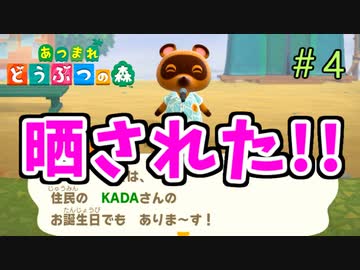 【あつまれ どうぶつの森】たぬきちに個人情報を晒されたっ…！＃4
