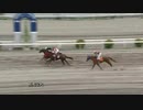 2020年3月22日高知競馬2R ２度のアラブ最優秀馬 スイグン特別(C2-5組) ヴェネレ