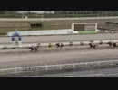 2020年3月22日高知競馬3R 初代全日本アラブグランプリ覇者 ミスターカミサマ特別(C2-4組) トウシンカイザー
