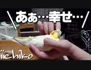 インコを眺めて癒やされてみませんか？