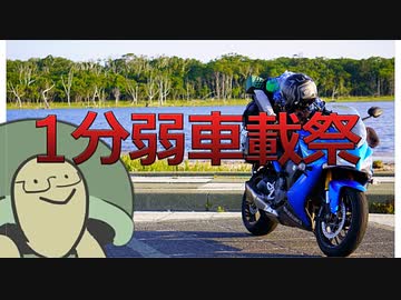 【1分弱車載祭】とりあえず顎マウントのテスト