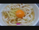 ゆかりさんの超速レポ動画 手打ちうどん回