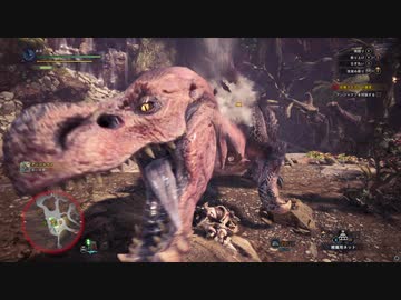 【MHW】会長がロックオンカメラとターゲットカメラを駆使してアンジャナフを攻略実況
