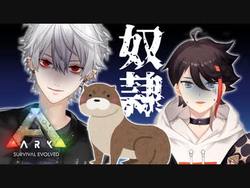 悪徳カワウソ業者葛葉の奴隷になる三枝明那