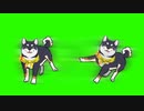 黒井しば印のステップGB