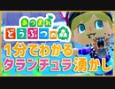 【金策】１分でわかるタランチュラ湧かし【あつまれどうぶつの森】