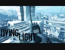 【実況】へっぽこ忍者がいく！ゾンビがはびこる都市を生き残れ！【ダイイングライト-Dying Light-】＃28