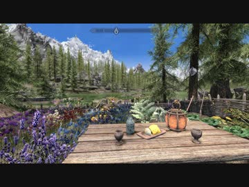 【初見】ＳｋｙｒｉｍＳＥ　遊んでみる別枠「好きな景色とのんびり過ごす」