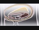 ロング 「Nu Jazz 003」※すびP 00242