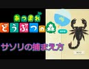 あつ森 サソリの捕まえ方