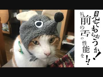猫の舌の性能をチェックする！