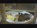 行ったり来たり