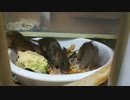 ひまわりの種ダイスキかよっ！