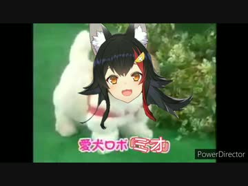愛犬ロボ「ミオ」