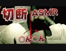 棒を切る痛いASMR【キネティックサンド】kinetic sand cut sound