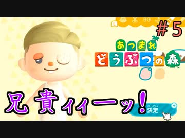 【あつまれ どうぶつの森】兄貴が刺されたことが『言葉』でなく『心』で理解できた！＃5