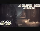 【プレイグテイル】ネズミ年なのでやってみます【part19】