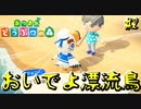 おいでませ漂流者！海に身を投げた船乗りの末路【あつまれどうぶつの森】#2