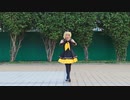 【かい】さよならスーヴェニア/告别的记忆(sour式rin)