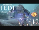 パダワンがジェダイマスターを目指してスターウォーズジェダイフォールンオーダーを実況プレイする.12[STAR WARS JEDI FALLEN ORDER]