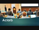 Aciarb