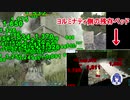 どう森お散歩ロケランぶっぱチャイカARK【ARK戦争／花畑チャイカまとめ】