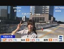 ウェザーニュースLiVE アフタヌーン 外中継 (2020-03-25)