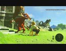 エリザベスの伝説　BOTW　その１