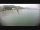 #19【海釣り】雨の日のキス(シロギス)のちょい投げ釣り【福井県 敦賀市にて】