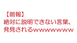 【朗報】絶対に説明できない言葉、発見されるｗｗｗｗｗｗｗｗｗｗｗ【2ch】