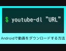 【Termux】Androidで動画ダウンロード【youtube-dl】