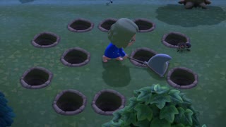 タランチュラ捕獲設備