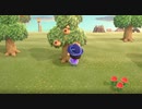 【東北ずん子 】あつもりをふわふわりと実況　Part7【あつまれどうぶつの森】