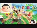 俺と私とよしぞうと…#1【あつまれ どうぶつの森】