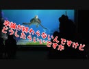 卒論が終わらないんですけどどうしたらいいですか【タートルトーク】東京ディズニーシー