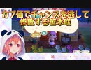 【あつまれどうぶつの森】カブ価でチャンスを逃して惨敗する笹木咲【にじさんじ】