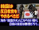 【海外の反応】 「韓国は 反日教育を やめるべきだ」 日韓の 関係改善のために 海外から まっとうな意見 多数！