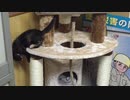 おっと危ない！！