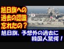 【海外の反応】 韓国人は 旭日旗に対する 過去の 認識を 忘れてしまった！？