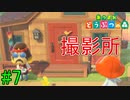 【実況】捻くれ者の無人島生活【あつまれ　どうぶつの森】７日目
