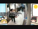 3/26真相深入りゆっくりニュース】チャイニーズの迷惑行為。テドロス退任署名50万突破
