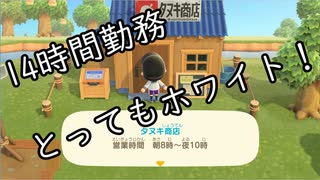 【あつまれどうぶつの森】こんな時（はやり病）だからこその無人島暮らし、あり 4 【Nintendo Switch】
