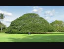 おっさんが「45秒」踊ってみた！ in ハワイ