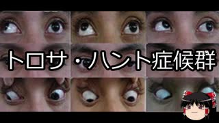 【ゆっくり朗読】ゆっくりさんと不思議な病気 その167