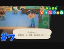 【実況】ローン完済してタランチュラ狩り #7【あつまれどうぶつの森】