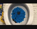 M&M'sとオレオのクッキーをトイレに流してみた４