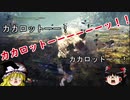 【初投稿】フレとゆっくり達といく、激昂ラージャン　MHWIB