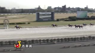 第18回若草賞 ステラモナーク