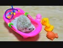 ハリ活.vol 44. ~まったりこころ君に癒されよう♪~
